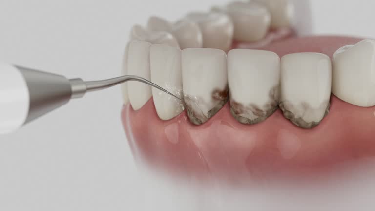 Reliable Dental contractor in Mangonia Park, FL by Dentist Open Now
